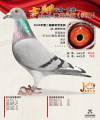 图片暂时未上传