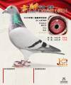 图片暂时未上传