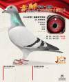 图片暂时未上传