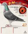 图片暂时未上传