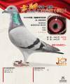 图片暂时未上传