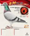 图片暂时未上传