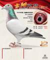 图片暂时未上传