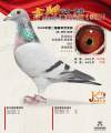 图片暂时未上传
