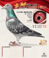 图片暂时未上传