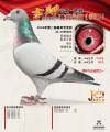 图片暂时未上传
