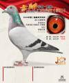 图片暂时未上传
