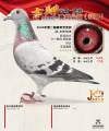 图片暂时未上传