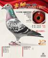 图片暂时未上传