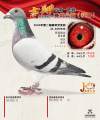 图片暂时未上传