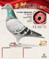 图片暂时未上传