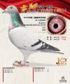图片暂时未上传