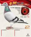 图片暂时未上传