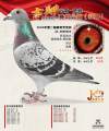 图片暂时未上传