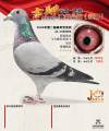 图片暂时未上传