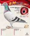 图片暂时未上传
