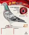 图片暂时未上传