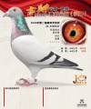 图片暂时未上传