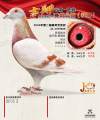 图片暂时未上传
