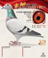 图片暂时未上传