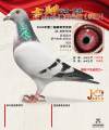 图片暂时未上传