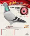 图片暂时未上传
