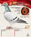图片暂时未上传