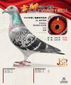 图片暂时未上传