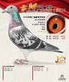图片暂时未上传