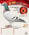 图片暂时未上传