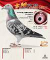 图片暂时未上传