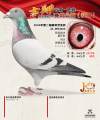 图片暂时未上传
