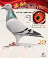 图片暂时未上传