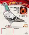 图片暂时未上传