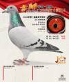 图片暂时未上传