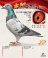 图片暂时未上传