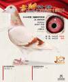 图片暂时未上传