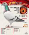 图片暂时未上传