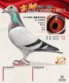 图片暂时未上传