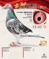 图片暂时未上传