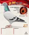 图片暂时未上传
