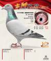 图片暂时未上传