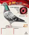 图片暂时未上传