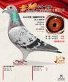 图片暂时未上传