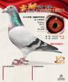 图片暂时未上传