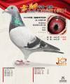 图片暂时未上传