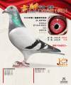 图片暂时未上传