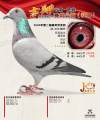 图片暂时未上传