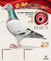 图片暂时未上传