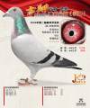 图片暂时未上传